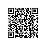 RNC55J16R2BSBSL QRCode