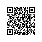 RNC55J16R5FSBSL QRCode