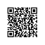 RNC55J17R4BSBSL QRCode