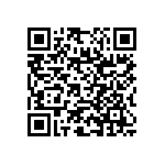 RNC55J1913BSRE6 QRCode