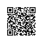 RNC55J1913BSRSL QRCode