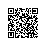 RNC55J1960BSBSL QRCode