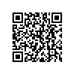 RNC55J1961FSRE6 QRCode