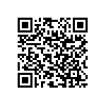 RNC55J2002DSRSL QRCode