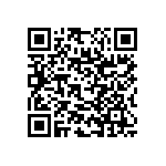 RNC55J2153BSBSL QRCode