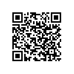 RNC55J2293BSB14 QRCode