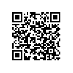 RNC55J2343BSRE6 QRCode
