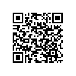 RNC55J2403DSB14 QRCode