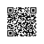 RNC55J2490BSB14 QRCode