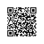 RNC55J2493BRRSL QRCode