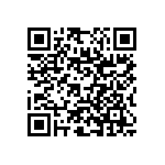 RNC55J2502BSRE6 QRCode