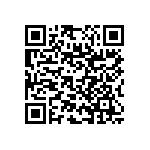 RNC55J2521BSBSL QRCode