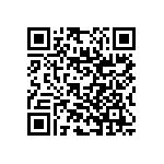 RNC55J2522BSBSL QRCode