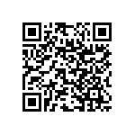 RNC55J2640DSB14 QRCode