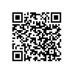 RNC55J2803BRRSL QRCode