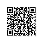 RNC55J2803BSB14 QRCode