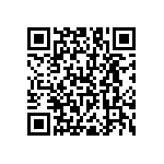 RNC55J2803BSBSL QRCode