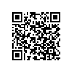 RNC55J2870BSRE6 QRCode