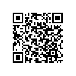 RNC55J2871FSRSL QRCode