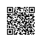 RNC55J2872BSR36 QRCode
