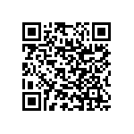 RNC55J2873BRRSL QRCode