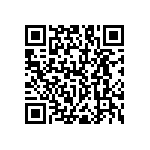 RNC55J2873BSBSL QRCode