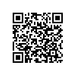 RNC55J2912BSRE6 QRCode