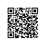 RNC55J2941BSBSL QRCode