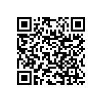 RNC55J3003BSB14 QRCode