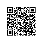 RNC55J3012BRBSL QRCode