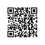 RNC55J3012BSBSL QRCode