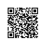 RNC55J3012DSBSL QRCode