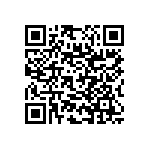 RNC55J3013BSBSL QRCode