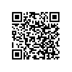 RNC55J3013BSR36 QRCode