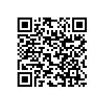 RNC55J3051BSB14 QRCode
