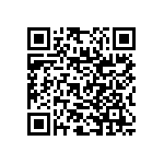 RNC55J3093FSRSL QRCode