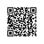 RNC55J30R1BSRSL QRCode