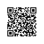 RNC55J3203BSB14 QRCode