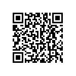 RNC55J3203BSBSL QRCode