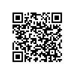 RNC55J3243BPRE6 QRCode