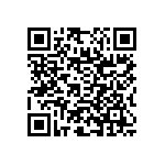 RNC55J3332BSRE6 QRCode