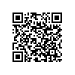 RNC55J33R2BSRE6 QRCode