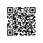 RNC55J3613BSBSL QRCode