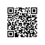 RNC55J3810BSRE6 QRCode