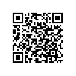 RNC55J3833BSRE6 QRCode