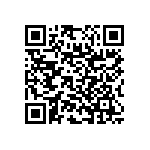 RNC55J3922BSBSL QRCode