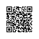 RNC55J4021BSBSL QRCode