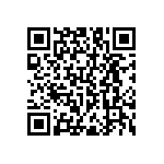 RNC55J4023FSBSL QRCode