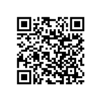 RNC55J40R2BSBSL QRCode