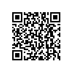 RNC55J4171BSBSL QRCode